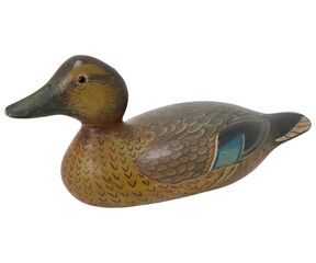 Image of Beautiful Wood Duck