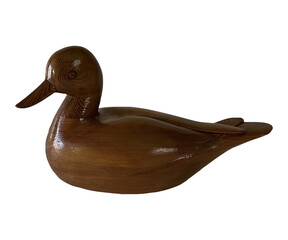 Image of Beautiful Wood Duck