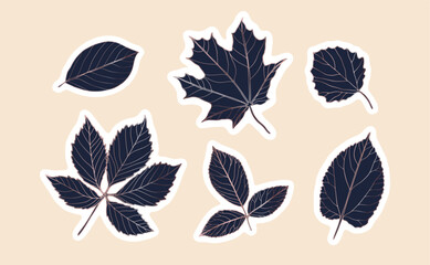 Fototapeta premium Foliage hand drawn botanical illustration. Cute leaves vector stickers