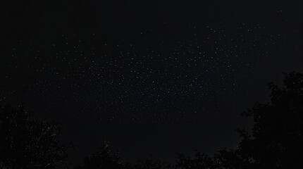 Obraz premium A group of bats flying together through the darkness above the treetops, aerial views, aerial movement, flying animals, clouds at night, bats in flight