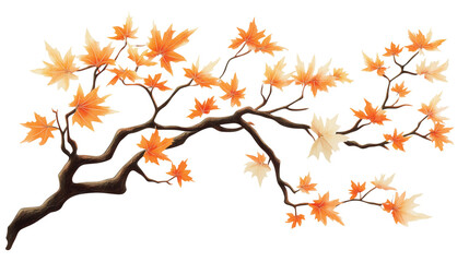 Obraz premium A autumn maple tree branch with orange leaves on a transparent background cutout,