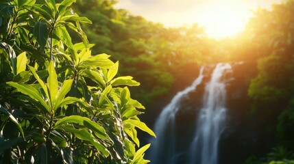 Naklejka premium Hidden waterfall surrounded by lush vines serene nature scene indonesia