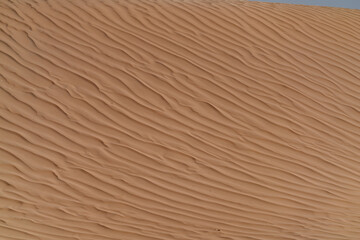 Natural texture formed by the wind on the surface of the sand