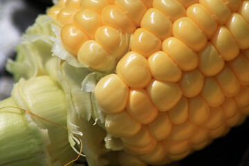 Raw Yellow Corn on the Cobb