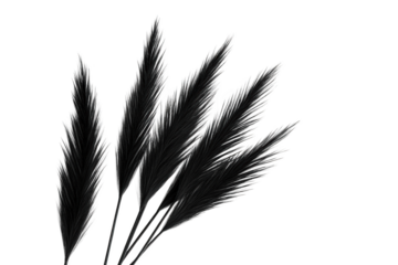 Embracing Minimalism. Aesthetic black and isolated on white background realistic concept