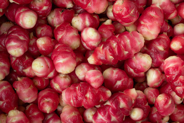 Oca from Peru
