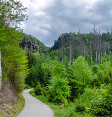 mountain road in the mountains