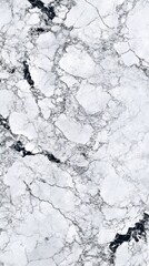 Obraz premium Close-up of a stunning black and white marble surface with intricate patterns and textures.