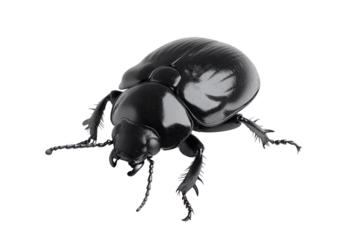 Detailed Black AR Device Illustration for Cutting-Edge Technology Concept