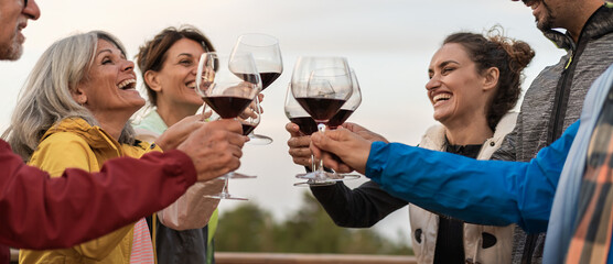 Group of diverse friends laughing and toasting with red wine glasses during outdoor celebration