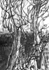watercolor ink art, abstract trees, black and white illustration