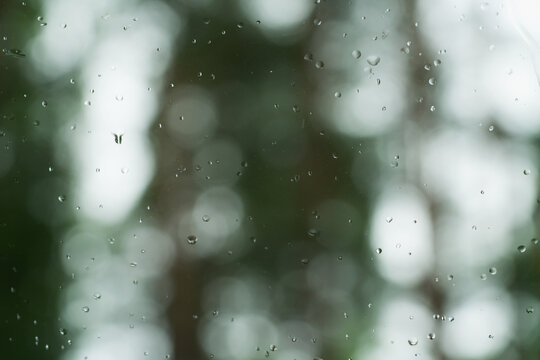 Fototapeta raindrops on a glass window of a car in forest