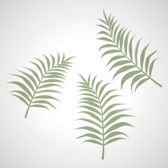 Collection of greenery leaf plant forest herbs tropical leaves