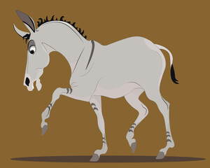 Obraz premium A light gray donkey walks on a brown background.