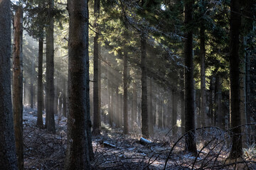 Seasonal natural scene, Kremnica Mountains, Slovakia