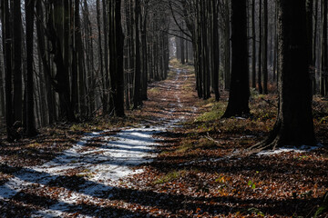 Obraz premium Seasonal natural scene, Kremnica Mountains, Slovakia