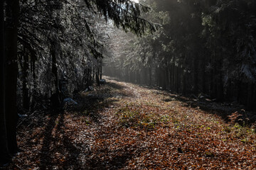 Seasonal natural scene, Kremnica Mountains, Slovakia