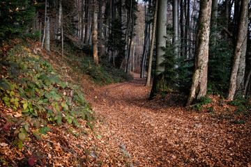 Seasonal natural scene, Kremnica Mountains, Slovakia