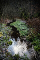 Seasonal natural scene, Kremnica Mountains, Slovakia