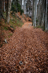 Seasonal natural scene, Kremnica Mountains, Slovakia