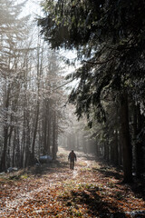 Seasonal natural scene, Kremnica Mountains, Slovakia