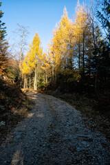 Seasonal natural scene, Kremnica Mountains, Slovakia