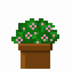 indoor flowers in pixel art