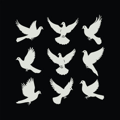 Obraz premium black and white wings silhouette