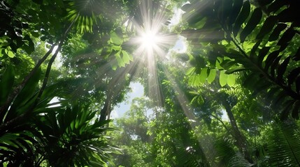 Obraz premium Sunlit Tropical Rainforest with Lush Green Foliage