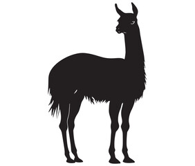 Obraz premium llama cartoon illustration vector design, Minimalist llama silhouette icon