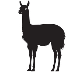 Obraz premium llama cartoon illustration vector design, Minimalist llama silhouette icon