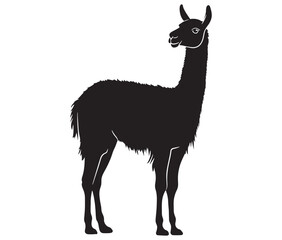 Obraz premium llama cartoon illustration vector design, Minimalist llama silhouette icon