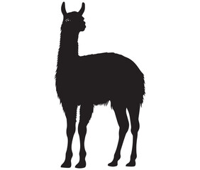 Fototapeta premium llama cartoon illustration vector design, Minimalist llama silhouette icon