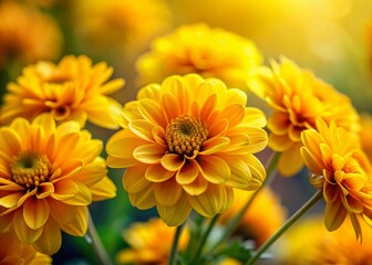 Fototapeta premium Close-Up of Vibrant Yellow Flowers with a Softly Blurred Background, Capturing the Beauty of Nature in Stunning Detail and Rich Colors for a Serene Atmosphere