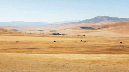 Obraz premium Expansive Golden Prairie Landscape with Gentle Hills and Clear Blue Sky, Ideal for Nature Themes and Scenic Backgrounds for Stock Photography
