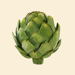 Fototapeta premium Hand drawn Artichoke, watercolor style.