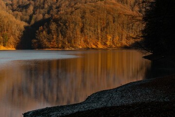 Forest lake reflecting late autumn colors