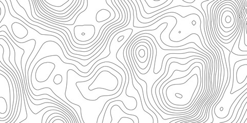 Abstract Topographic map background with wave line.Topographic map and landscape terrain texture grid,Modern design with White background .Abstract topographic contours map background, Vector contour