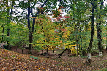 Autumn landscape from the southern subtropical region of Astara, Lake Khanbulan