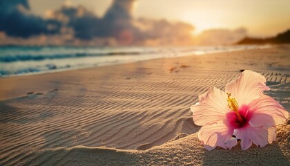 Fototapeta premium Summer inspired background with beautiful sandy beach and hibiscus