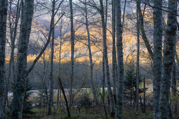 Kamikochi with beautiful mountains and a very popular touristic place for nature lovers.  located in the Northern Japan Alps near Matsumoto Nagano Prefecture Japan.