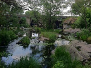 Obraz premium Lush nature on the grounds of the Radomysl Castle-Museum, with greenery, water features, and a serene atmosphere