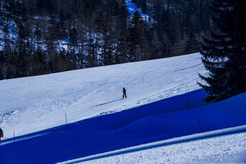 2022-02-06. Montenegro. A boy skier going down the slope  from a mountain against the background of trees.