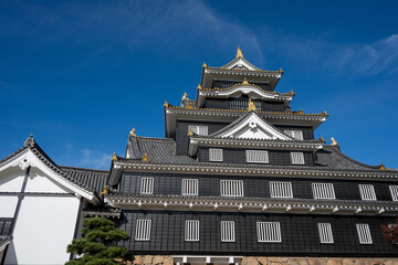 Obraz premium 日本の岡山県岡山市の岡山城の美しい秋の風景