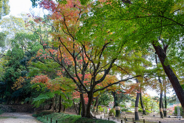 日本の岡山県岡山市の後楽園の美しい秋の風景