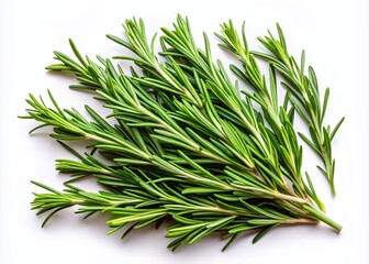Fototapeta premium Fresh Green Rosemary Twigs Isolated on a White Background - Aromatic Herb for Culinary Uses and Natural Remedies, Perfect for Food Photography and Botanical Illustrations