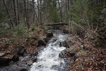 Sentier National St Mathieu Du Parc