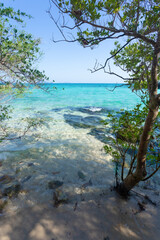 Fototapeta premium Koh Kham is a small beautiful island in Trat Province Thailand with crystal-clear waters.