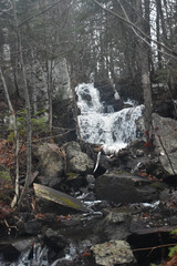 Sentier National St Mathieu Du Parc