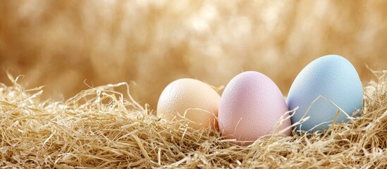 Fototapeta premium Pastel colored Easter eggs nestled in hay showcasing a festive spring theme ideal for holiday celebrations and decoration concepts